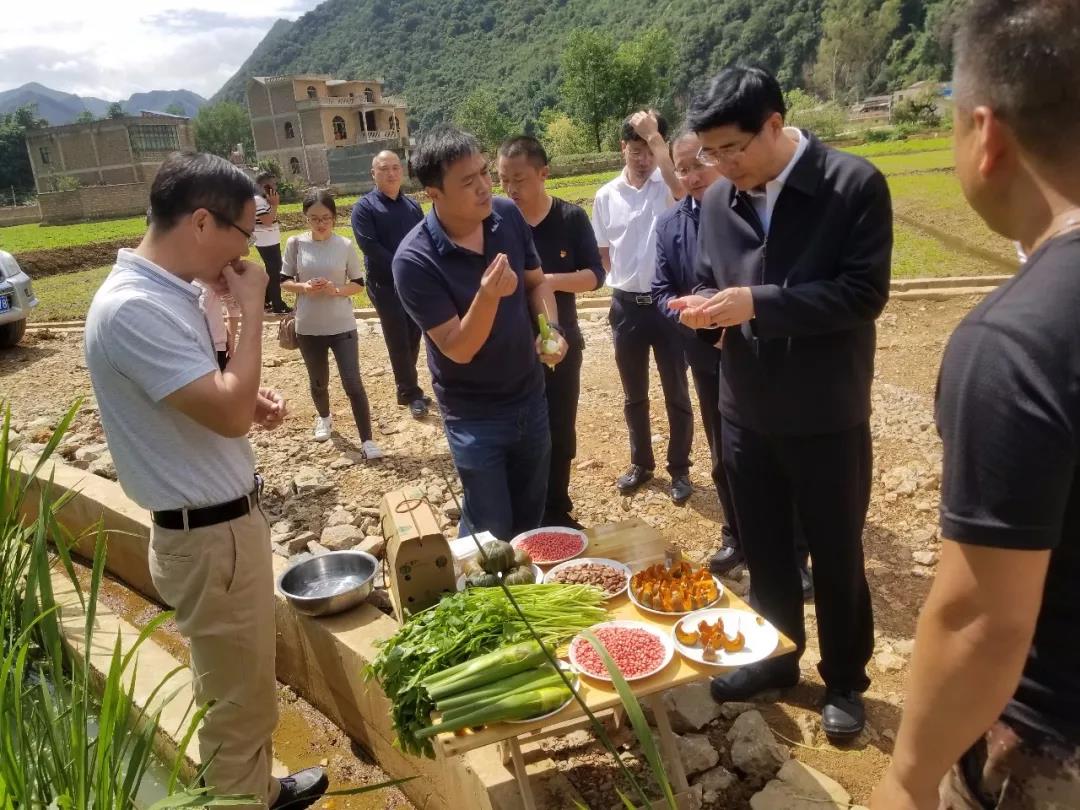 Welcome to 永利皇宫