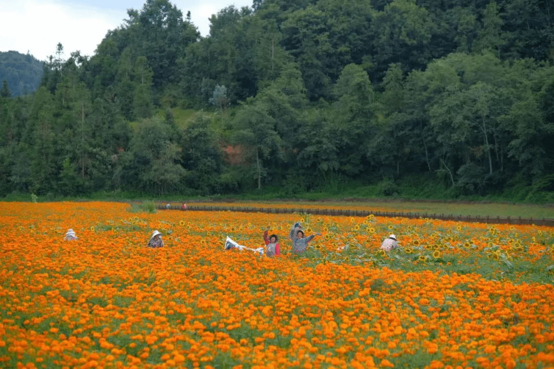 Welcome to 永利皇宫