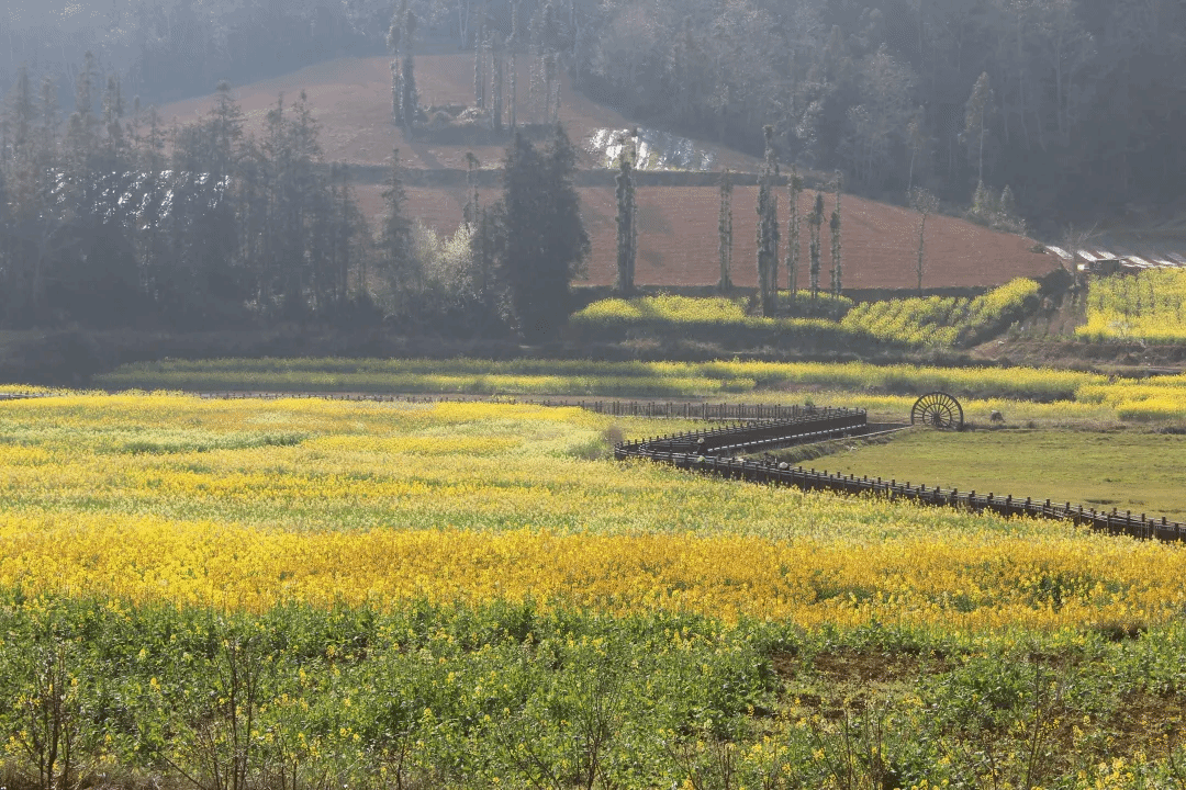 Welcome to 永利皇宫